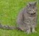 Avatar von balou1998