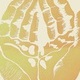 Avatar von Serque