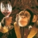 Avatar von Gundolf