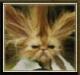 Avatar von MeowMau
