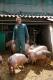 Avatar von schweinepriester